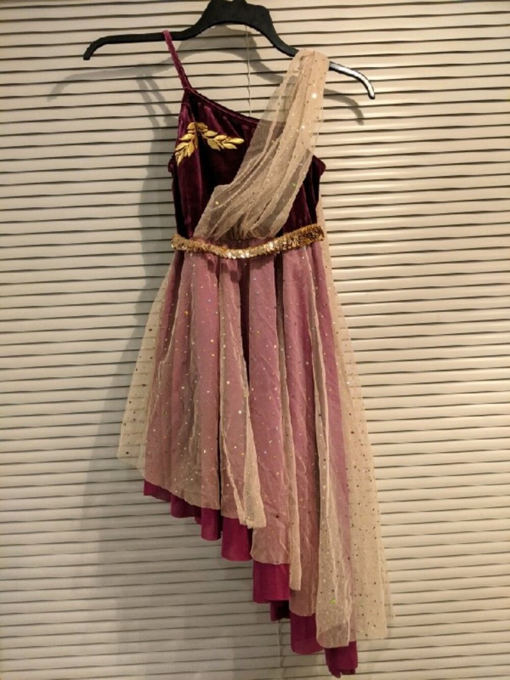 Girls Velvet and Tulle Sequin Dance Costume Dress-Medium Adult